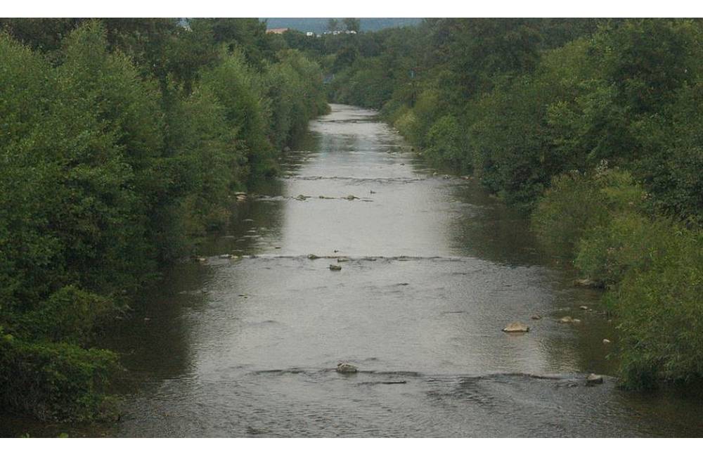 V rieke Nitra našli mŕtve zvieratá, ich telá museli vyloviť policajti s hasičmi