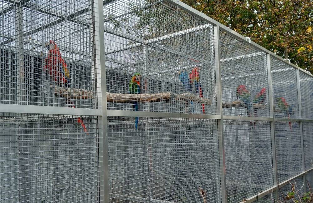 Nitrianska enviropolícia objavila nelegálne chované ohrozené papagáje a korytnačky za 12-tisíc eur