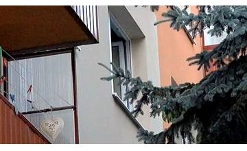 Dalibor (4) chcel zamávať mame pričom spadol z 2.poschodia