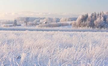 Začiatkom februára sa pripravte na poriadne mrazy a sneh, príde k nám studený front