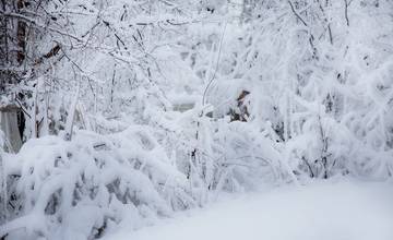 Príde arktická zima, extrémne mrazy zasiahnu Slovensko už počas víkendu