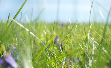 Pred nami je mimoriadne teplý týždeň, schladia nás však búrky
