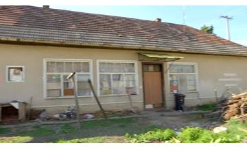 Spor medzi kamarátmi si odniesol pes, 38-ročný Kristián ho z pomsty kladivom dobil na smrť