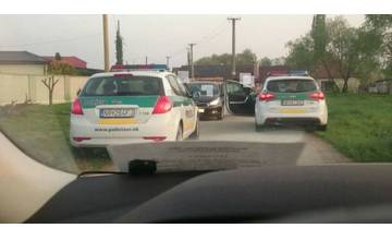 Pracovníci nitrianskeho útulku pomáhali polícii pri zatýkaní hľadaného muža, zabezpečili odchyt psa