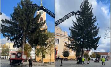 VIDEO: V Topoľčanoch už stojí vianočný stromček. Mal byť vyrúbaný, dostal však poslednú šancu zažiariť