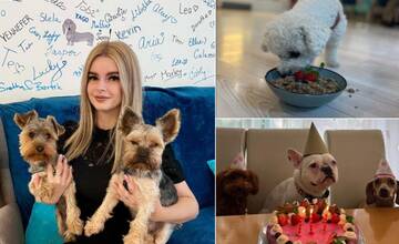 Majiteľka prvej psej škôlky a kaviarne v Nitre: Ľudia by mali dopriať aj psíkom, môžu si tu dať pivo i víno