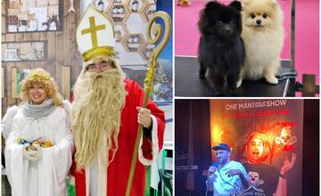 TOP 10 podujatí na tento týždeň: Do Nitry dorazí 7-tisíc psov, Mikuláš aj Bekim s Veľmajstrom Jerrym