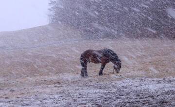 Mieri k nám víchrica Katrin. Najsilnejšie nárazy vetra hrozia v okolí Nitry