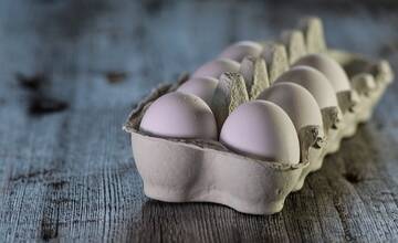 Vandali v Topoľčanoch tyranizujú obyvateľov vajcovými útokmi