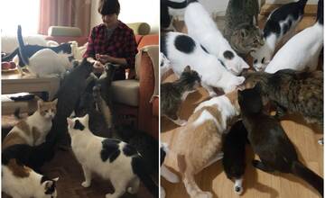 Zachránila 30 mačiek z ulice, no sama potrebuje pomoc. Anne z Dražoviec hrozí, že príde o strechu nad hlavou