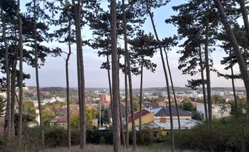 Okresy Nitra a Topoľčany čaká veterný víkend, meteorológovia už vydali výstrahy