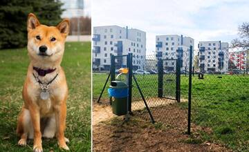 FOTO+VIDEO: V Topoľčanoch pribudol najväčší výbeh pre psov, už je otvorený