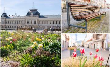 FOTO: Nitra zakvitla do krásy a na pešej zóne zmodernizovali lavičky aj ďalší mobiliár