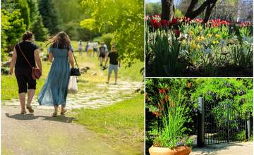 Botanickú záhradu SPU v Nitre slávnostne otvoria. Na čo sa môžu návštevníci tešiť?