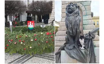 FOTO: Na vianočných trhoch v Komárne môžete kúpou kapustnice pomôcť túlavým mačkám