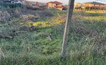 FOTO: Na Prameni v Nitre sa pohybuje zlodej. Rozrezal plot a ukradol drevené pne, tvárnicu už odniesť nevládal
