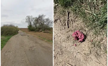Na Klokočine niekto porozhadzoval otrávené kusy mäša, psíčkari, toto miesto radšej obíďte