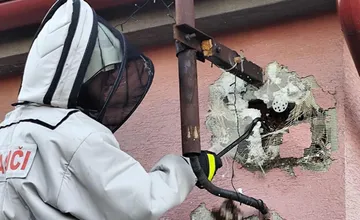 FOTO: Dobrovoľní hasiči z Hájskeho varujú pred sršňami. Čo robiť, ak nájdete hniezdo pod strechou či fasádou?