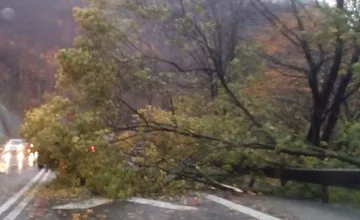 Za Kalnou nad Hronom spadol na cestu strom, úsek je neprejazdný a zasahujú tu záchranné zložky