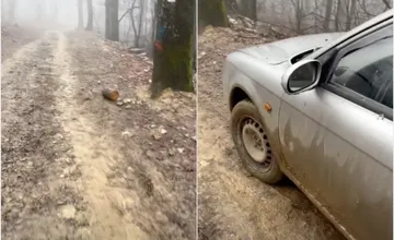 VIDEO: Pílenie dreva na Zobore vyvolalo búrlivú diskusiu. Majú povolenie alebo ide o čiernu ťažbu?, kladú otázky miestni
