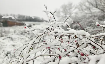 Nitriansky kraj čaká búrlivý začiatok týždňa: Udrie výdatné sneženie, poľadovica a potom prudký zvrat