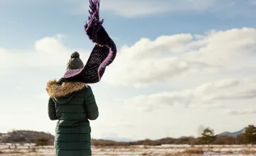 Pozor, opäť udrie silný vietor. Meteorológovia vydali výstrahy pre dva okresy Nitrianskeho kraja