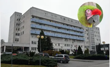 Nemocnica v Nitre upozorňuje návštevníkov aj pacientov na nečakaného návštevníka, o koho ide?