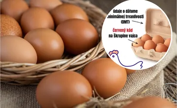 V slovenských obchodoch ešte môžu byť vajcia z farmy, ktorú zasiahla vtáčia chrípka. Skontrolujte si kód a dátum