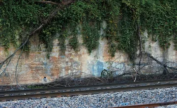 AKTUALIZOVANÉ: Spadnutý strom na trati prerušil železničnú dopravu medzi Šaľou a Trnvocom nad Váhom. Meškali štyri vlaky