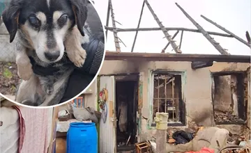 VIDEO: Po tragickom požiari v Cabaji našli v dome staručkého a slepého psa zosnulej majiteľky. Aký bude jeho ďalší osud?