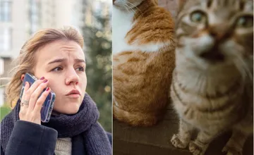 Útulok pre zvieratá v Nitre varuje pred neúčinným nahlasovaním zranených zvierat online, tu sú dôležité čísla