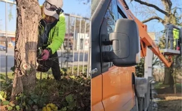 VIDEO: Veľké upratovanie cintorínov v Nitre. Mesto ukázalo, čo všetko sa deje za zatvorenými bránami