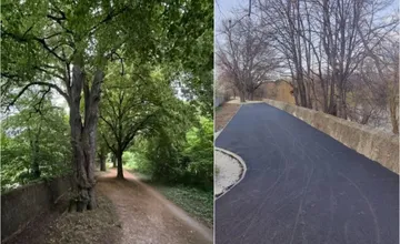FOTO: Nitrania sa obávajú o ikonickú lipovú alej pri rieke. Ako to bude vyzerať, keď dokončia novú cyklotrasu?