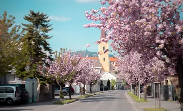 Aké počasie nás čaká cez Veľkú noc v Nitrianskom kraji? Prognózy vyzerajú sľubne, možno sa oteplí až na 19 stupňov