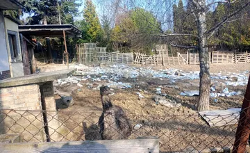 FOTO: Šokujúci nález na dvore v Golianove, zanedbané emu a ďalšie zvieratá tam žili obklopené tisíckami rúšok