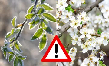 Nitriansky kraj čaká séria poriadne mrazivých nocí, teploty niekde padnú až k -5 °C a začne sa boj o úrodu