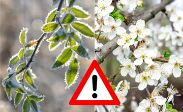 Apríl nás opäť prekvapí, prízemné mrazy udrú už túto noc. Výstrahy platia pre štyri okresy Nitrianskeho kraja