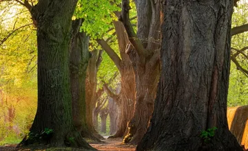FOTO: Nová cyklotrasa v Nitre rozdeľuje ľudí na dva tábory. Jedni ju vítajú, druhí hovoria o zničení magického miesta