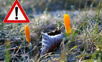 Nitriansky kraj čaká ďalšia mrazivá noc, vo štvrtok sa navyše pridajú aj výstrahy pred silným vetrom