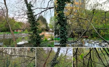 FOTO: Toto zostalo z obľúbeného levického kúpaliska, ktoré bolo kedysi živým miestom, ľudia vyčítajú úpadok aj mestu