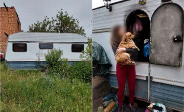 Smutný nález v okolí Nových Zámkov: Veterinári zhabali psíky zo „známej adresy“, z maringotky bolo počuť kňučanie