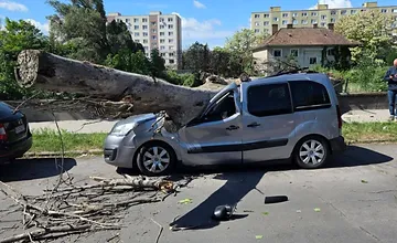 FOTO: Zrútený strom v Nových Zámkoch úplne zdemoloval zaparkované auto, majiteľ neveril vlastným očiam