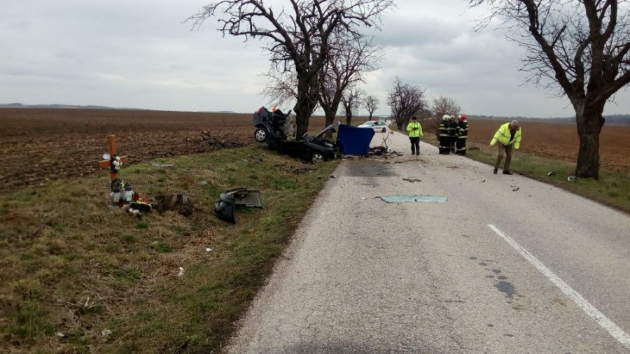 Hrôzostrašná nehoda! Mladá vodička narazila do stromu, následky boli tragické, foto 2