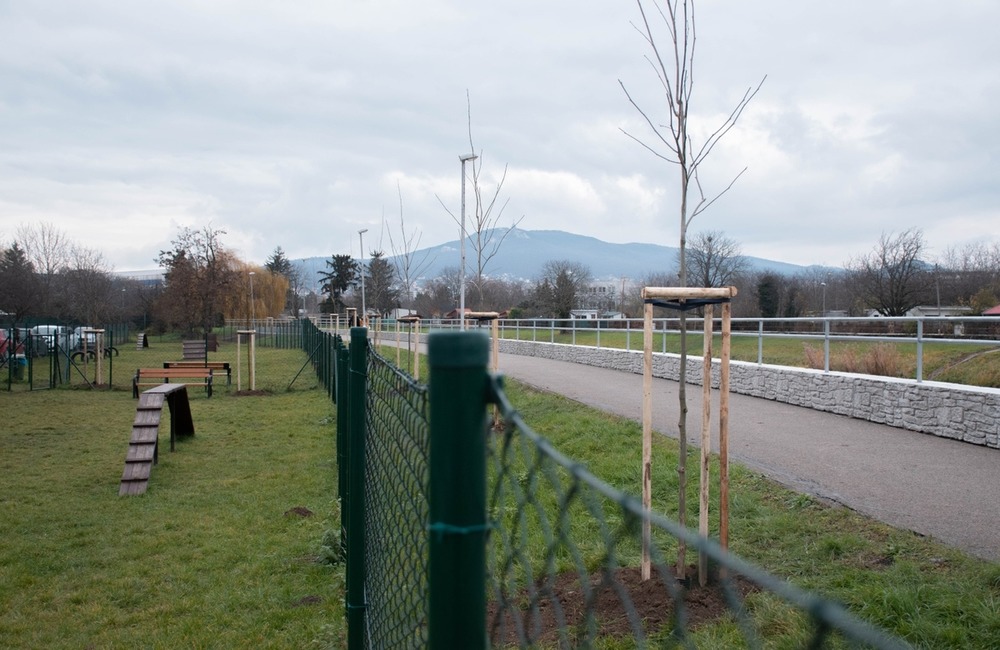 FOTO: Výbehy pre psov v Nitre, foto 2