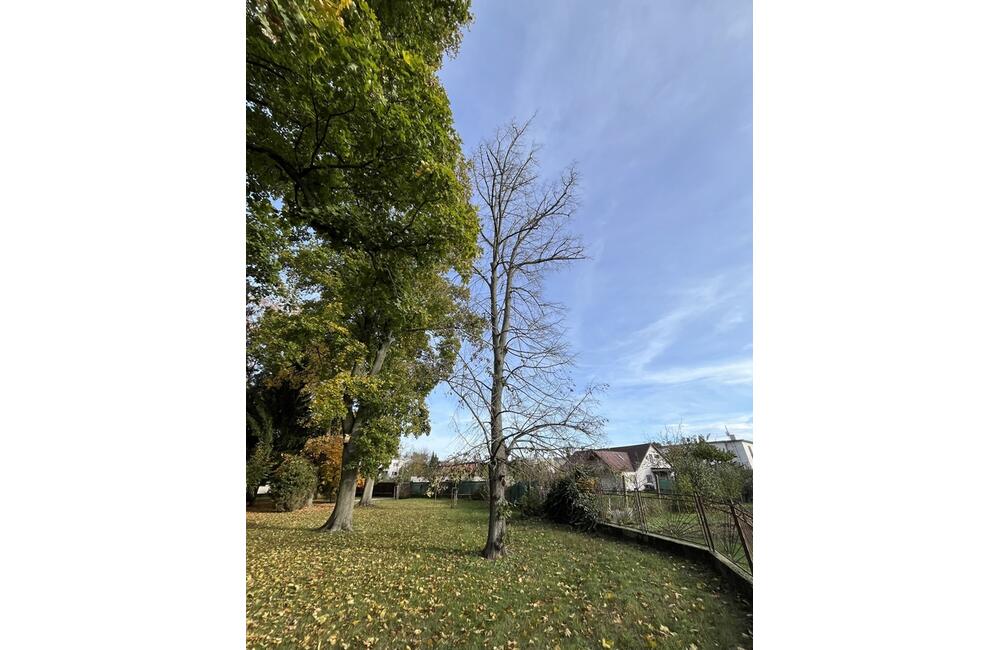 FOTO: Otrávené stormy v Kalnej nad Hronom, foto 4