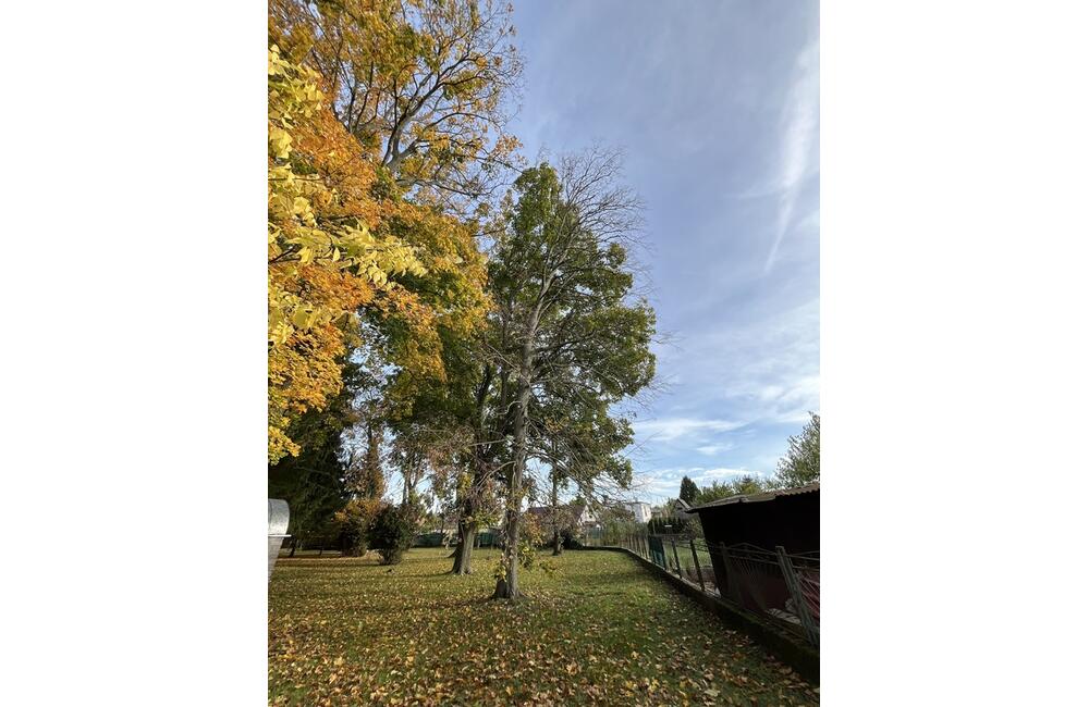 FOTO: Otrávené stormy v Kalnej nad Hronom, foto 5