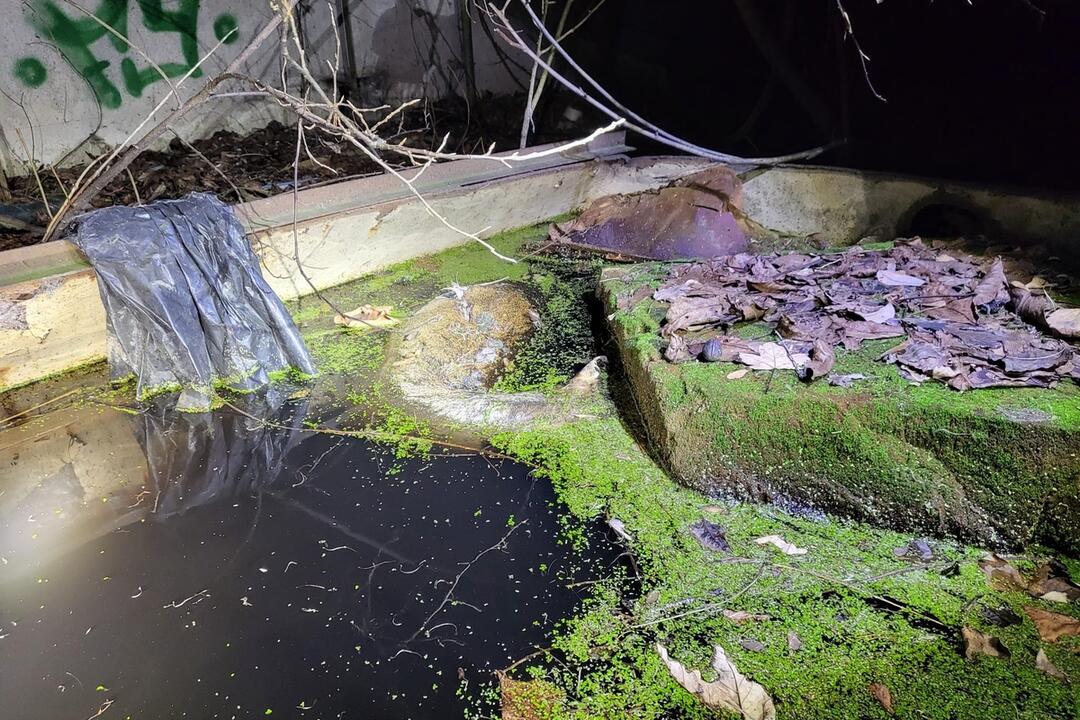 FOTO: Nočné pátranie po 28-ročnej Márii zo Šurianok, foto 2