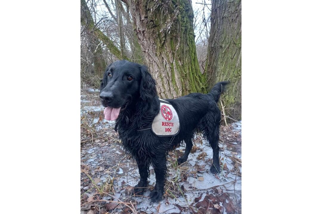 FOTO: Pátranie nezvestnej Márii zo Šurianok, foto 3
