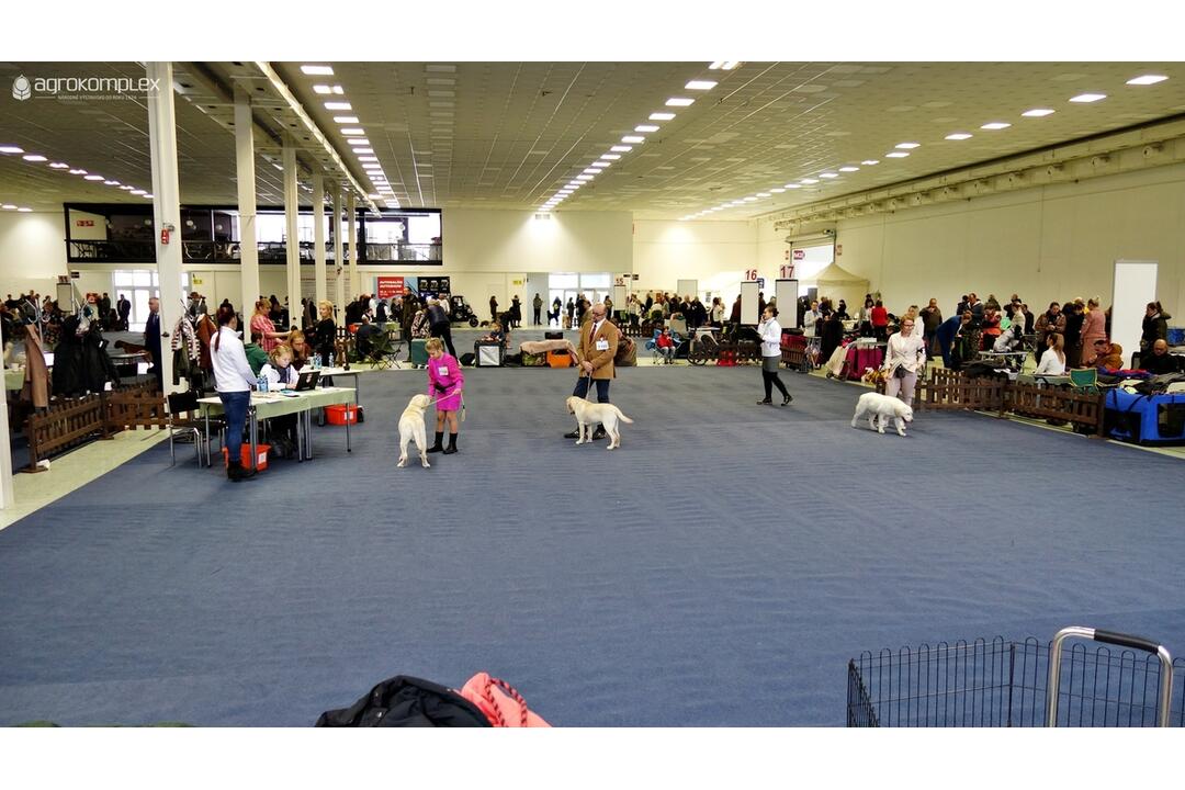 FOTO: Výstavy na Agrokomplexe v Nitre, foto 7