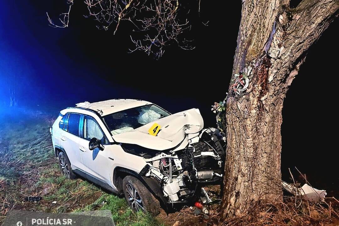 FOTO: Mladý muž čelne vrazil do stromu, nehodu neprežil  , foto 2